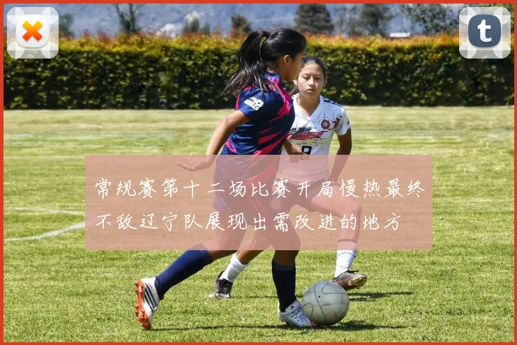 常规赛第十二场比赛开局慢热最终不敌辽宁队展现出需改进的地方